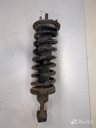 Амортизатор подвески Nissan Navara, 2006