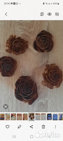 Шишки гималайского кедра