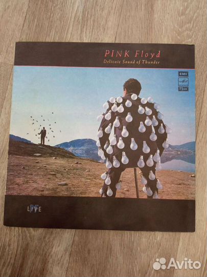 Виниловая пластинка Pink Floyd