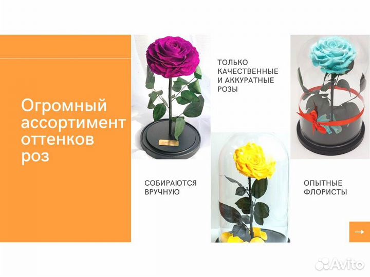 Роза в колбе