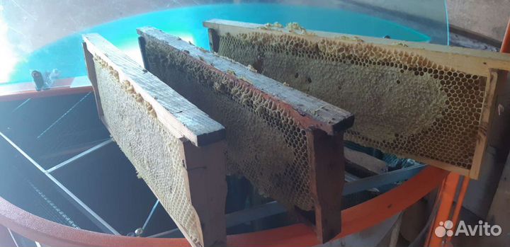 Мёд с личной пасеки. Подсолнечный 2023г