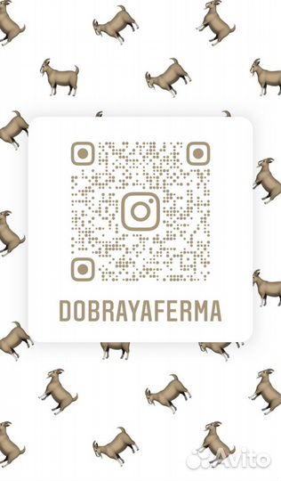 Молоко коровье цельное, доставка