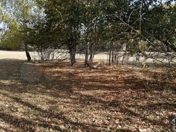 Участок 50 сот. (ИЖС)