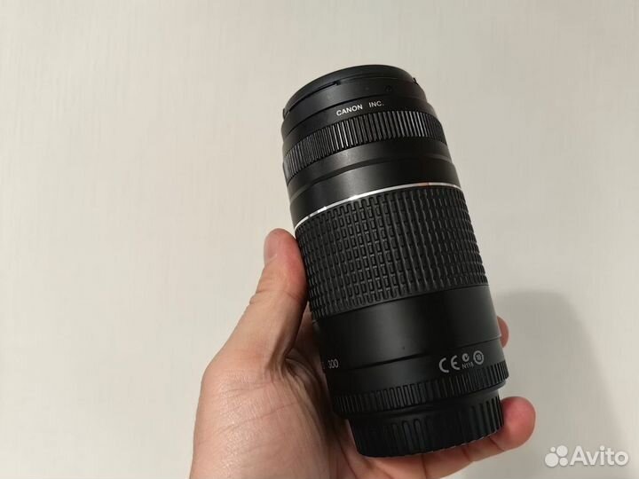 Canon EF 75-300mm f/4-5.6 III