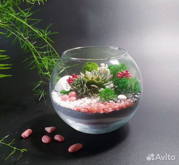 Флорариум комплимент