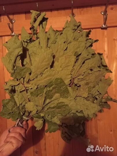 Дубовые веники для бани