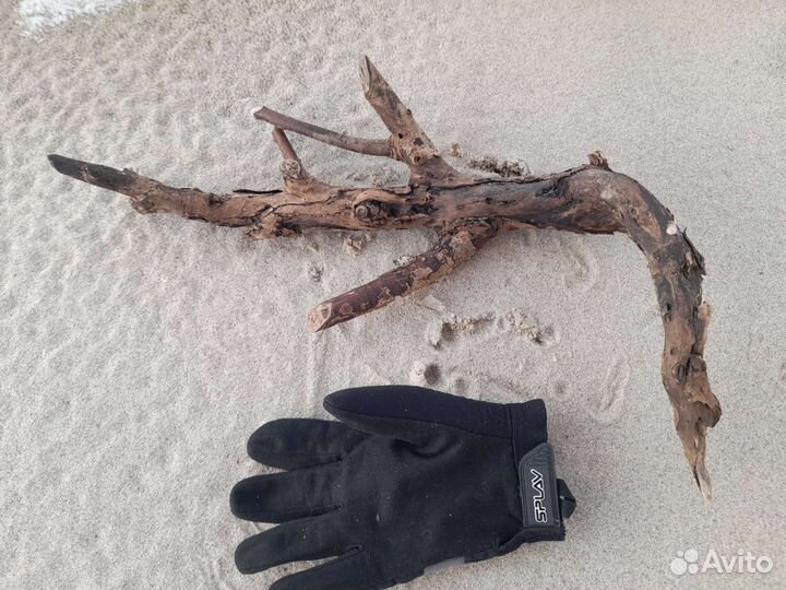 Коряга в террариум