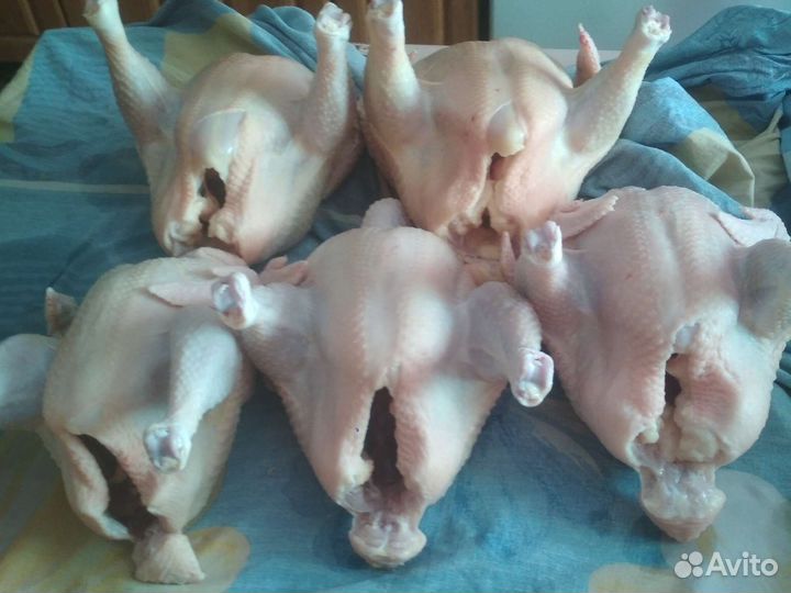 Мясо кур бройлеров