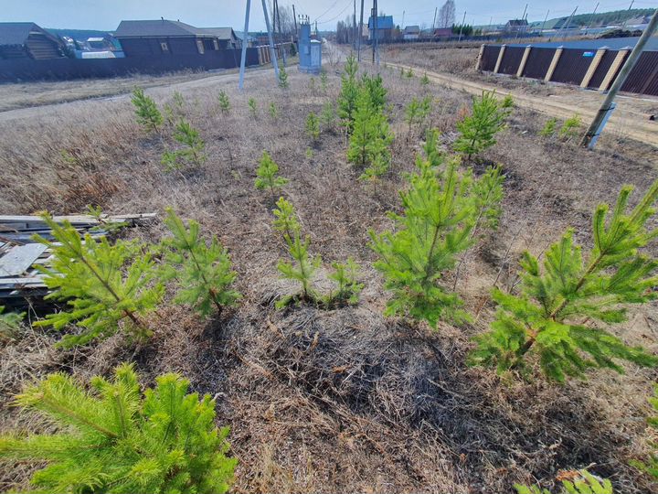 Участок 23 сот. (ИЖС)