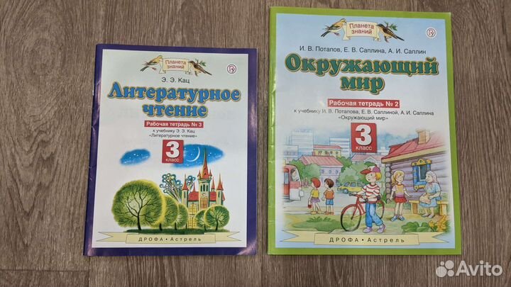 Окружающий мир 3 класс Литературное чтение 3 класс