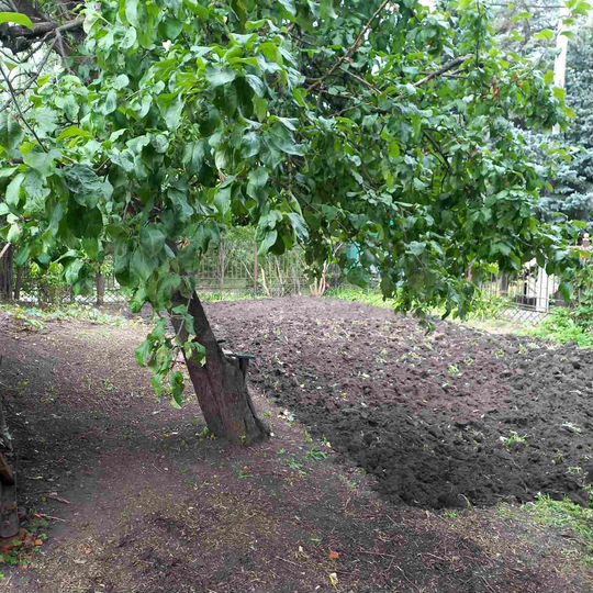 Дом 45 м² на участке 2 сот.