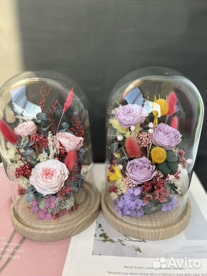 Стеклянный колпак клош