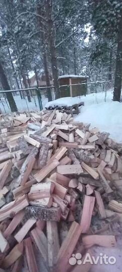 Дрова колотые березовые