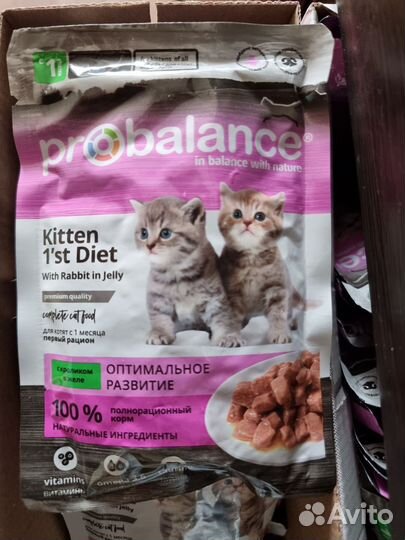 Корм для котят