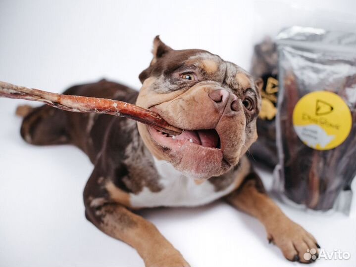 Вкусняшки для собак качество/оптом/доставка