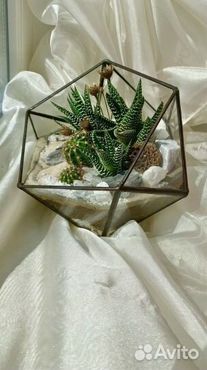 Флорариум с суккулентами