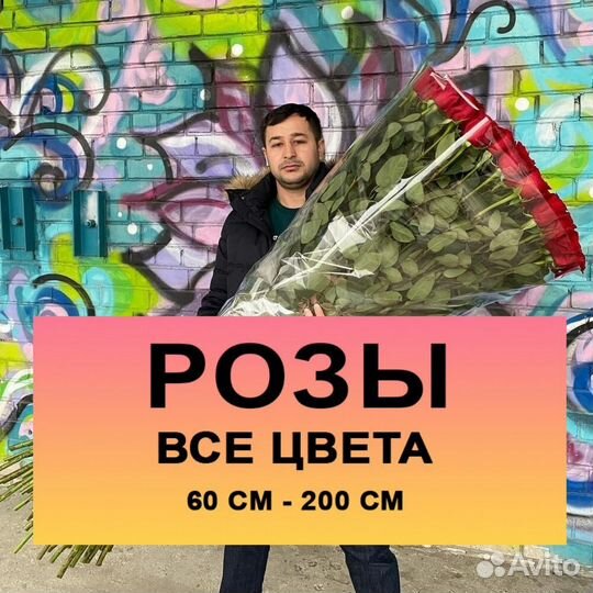 Цветы розы, роза с доставкой 25 51 501 1001 Москва