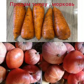 Продам тыкву, морковь