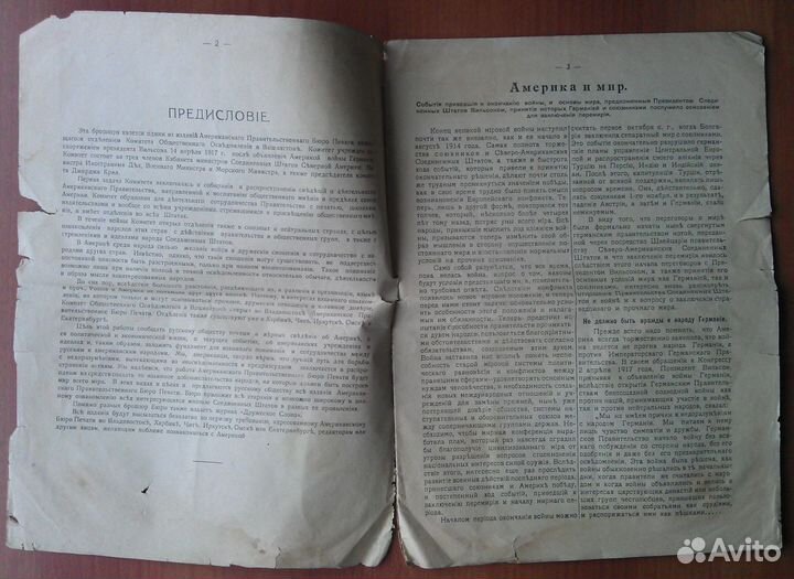 Журнал 1918 г Америка и Мир, Американское правител