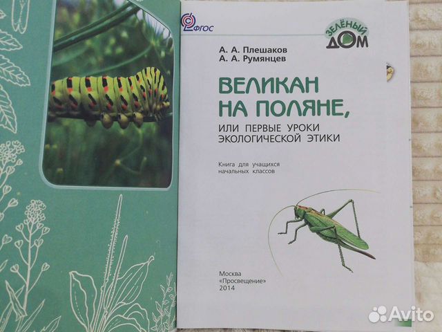 Книги отдам бесплатно