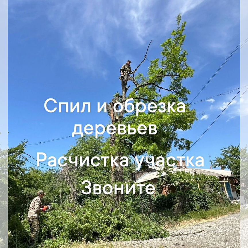 можжевельник - Услуги и сервисы в Ростовской области | Поиск