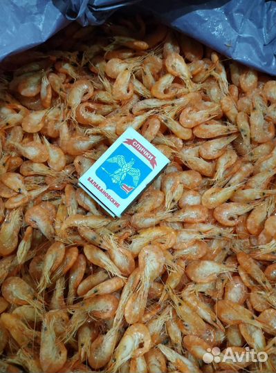 Креветка Усик Premium