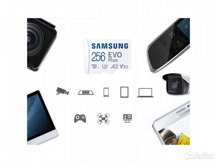 Карта памяти Samsung EVO Plus microSD 256Gb