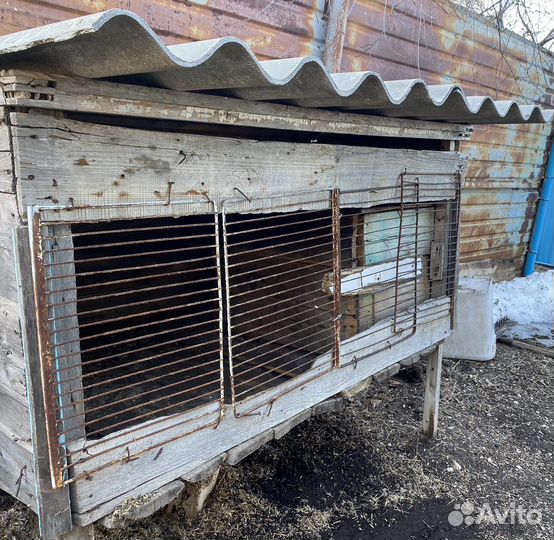 Клетки для кроликов