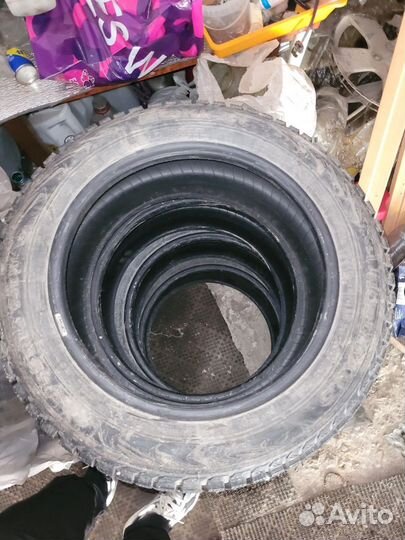 Nordman 5 205/55 R16