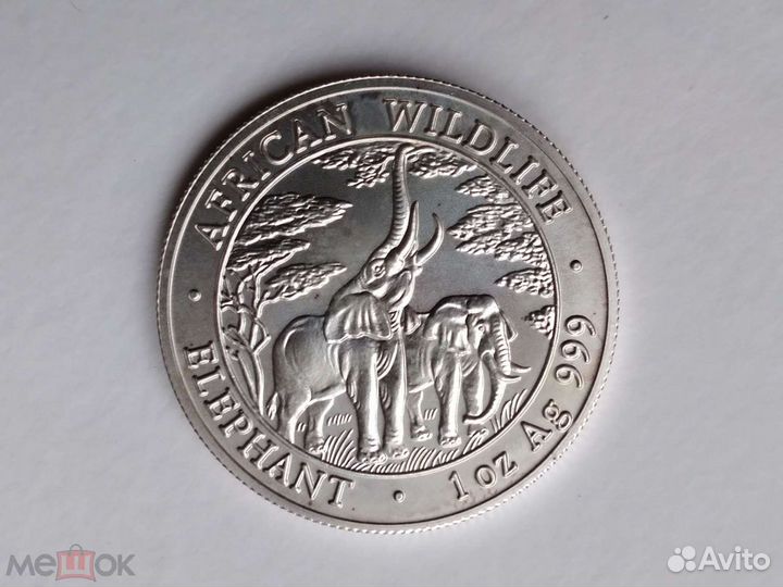 5000 квача Замбия 2003 года Слоны