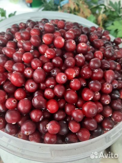 Ягоды и варенье