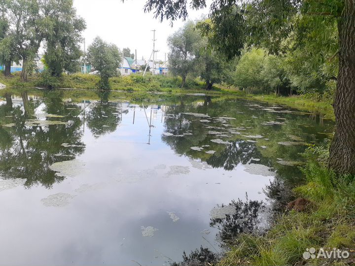 Услуги экскаватора