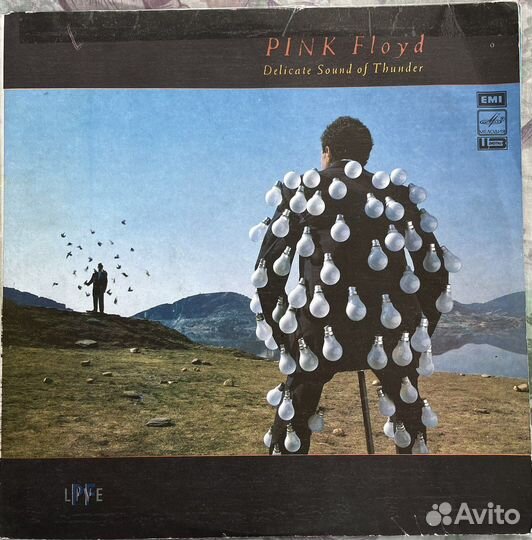 The Shocking Blue,Pink Floyd,U2