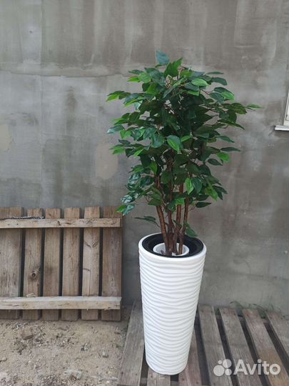 Монстера Альба искуственная. Искуственные деревья