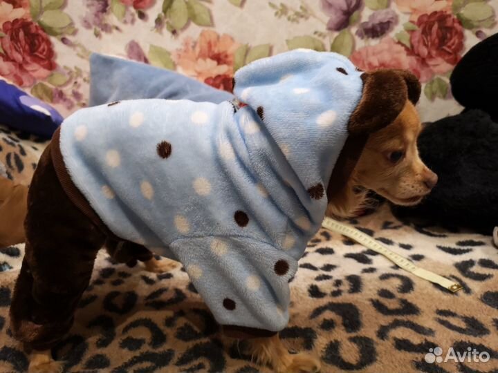 Комбинезон для маленькой собачки