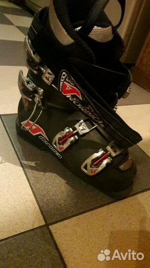 Nordica doberman team 70