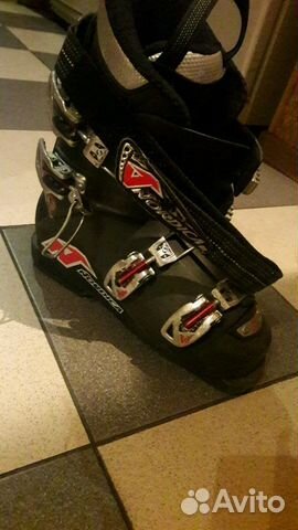 Nordica doberman team 70