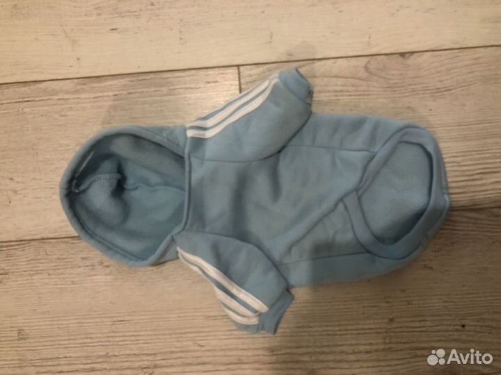 Одежда для маленьких собак