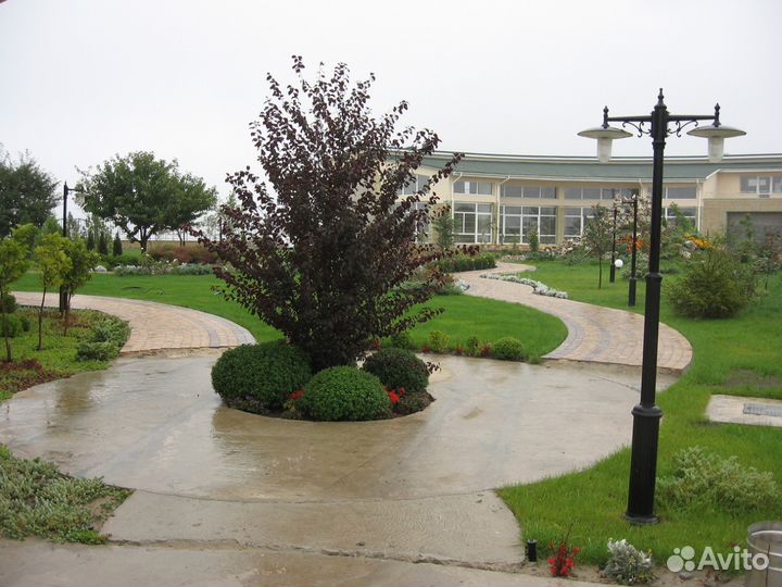 Рулонный газон от Крымского производителя