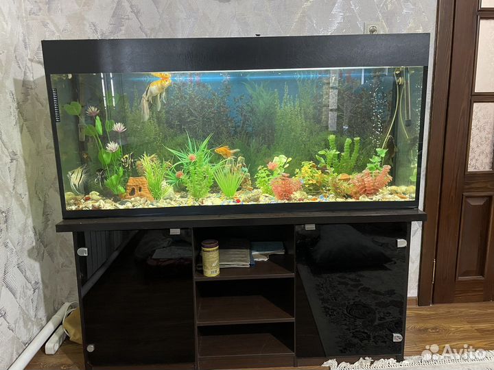 Аквариум