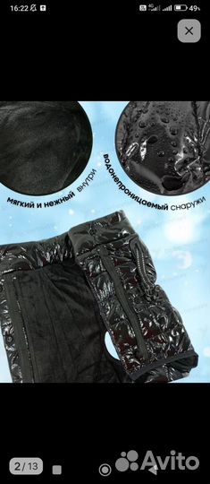 Одежда для собачки и туалет