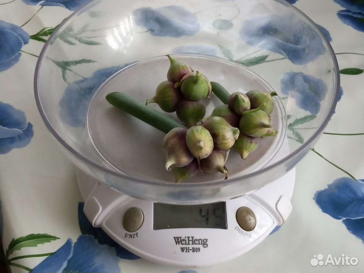 Многоярусный лук