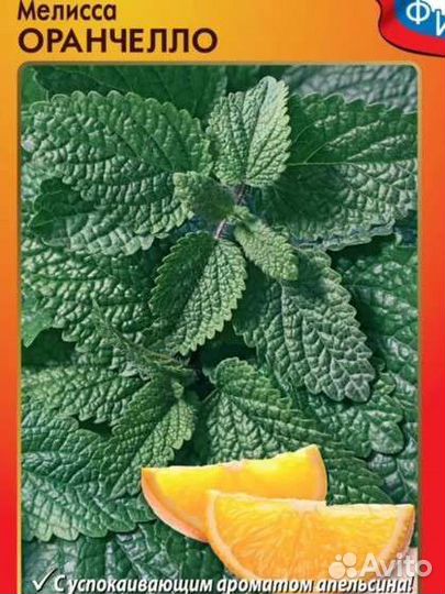 Мелисса оранчелло