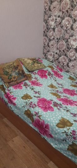 2-к. квартира, 45,5 м², 1/2 эт.