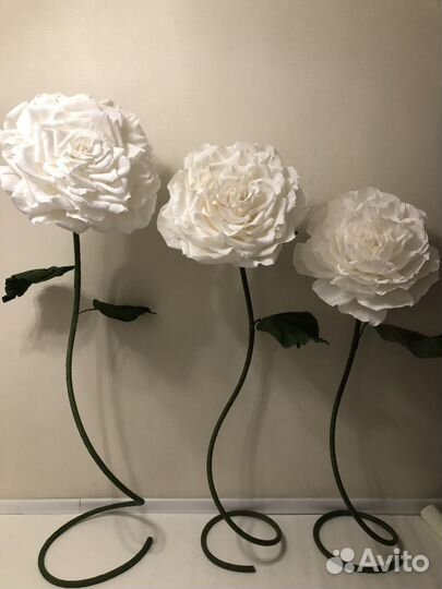 Аренда ростовых цветов, ростовые цветы, фотозона с