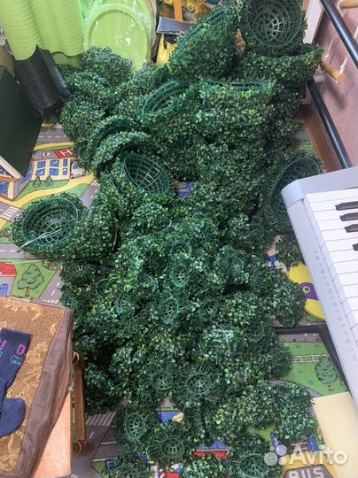 Искусственный самшит