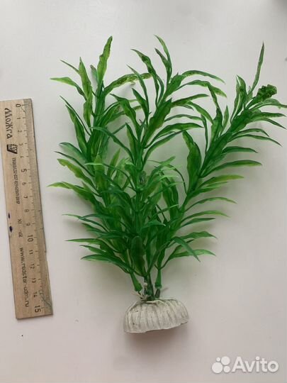 Обмен на анубиас Украшение для аквариума