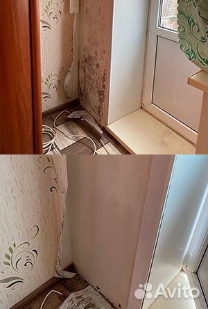 Уничтожение тараканов, клопов, плесени, крыс, блох