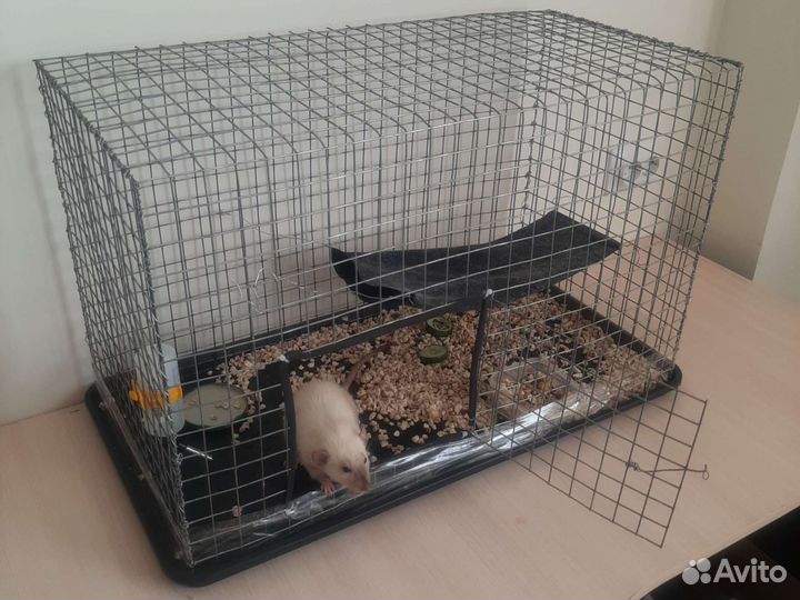 Клетка для грызунов большая