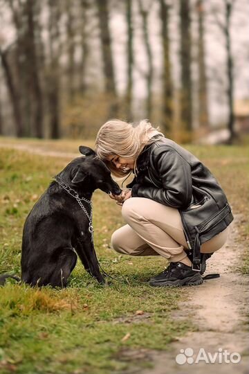Кинолог зоопсихолог с выездом